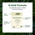 thumbnail image 4 of FLORA - FlorEssence Dry Tea Blend, Gentle Detox & Cleanse, 2.2 Oz, 4 of 7