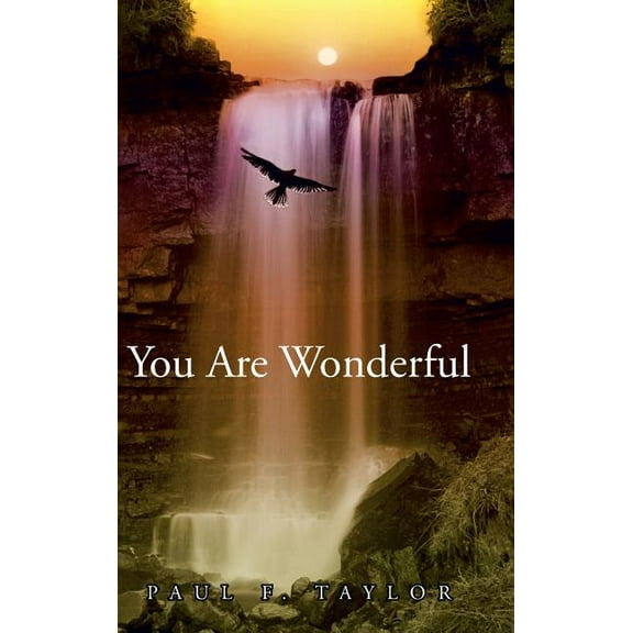 You are Wonderful: A devotional insight into the Names and descriptions of God and Jesus in the Bible, (Hardcover)