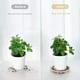 thumbnail image 1 of Plástico transparente bandeja para macetas, bandejas de macetas de 5 piezas, dise?o plegable, resistente al agua, para jardín interior y exterior, macetas de plástico, maceteros de plástico,, 1 of 7