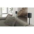 thumbnail image 2 of Sony SARS3S Étagère Sans Fil Haut-Parleur 100 Watts avec Accessoires Inclus, Noir, Paire, 2 of 5