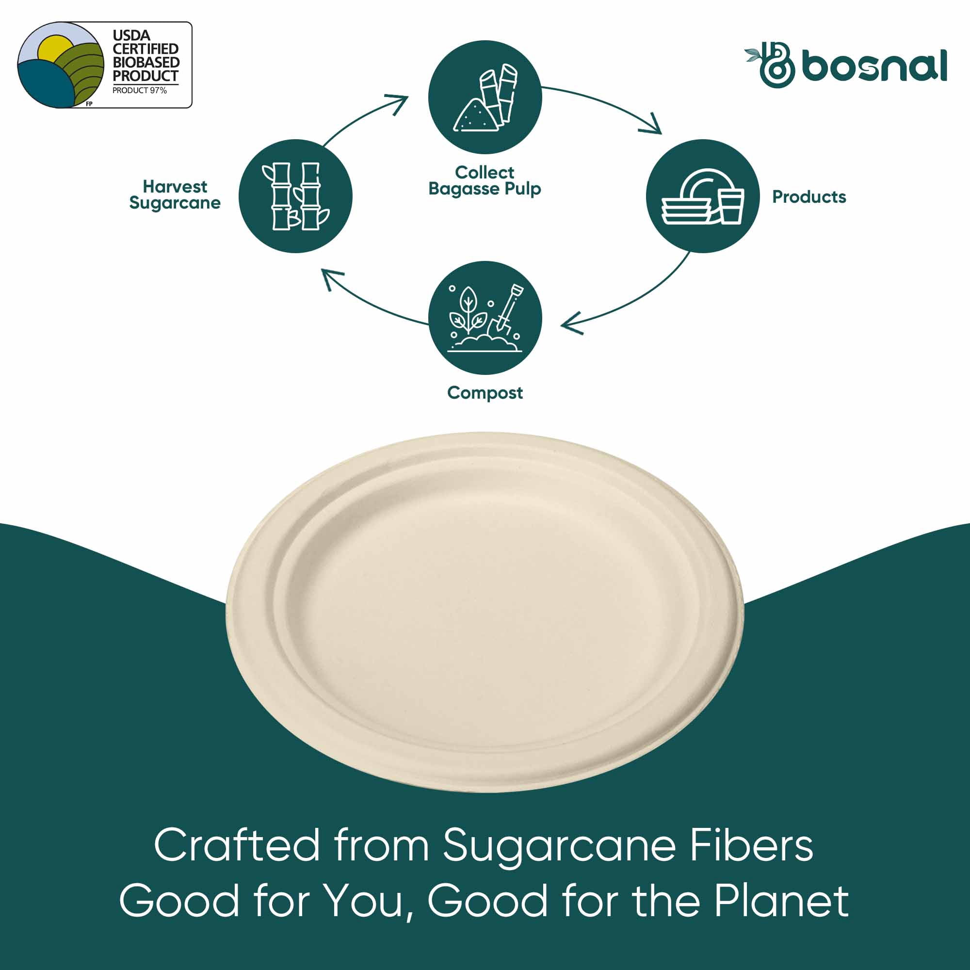 BOSNAL 10 Inch Round Bagasse Plates (100 Pack) – Compostable, Biodegradable & Eco-Friendly Disposable Dinner Plates for Parties, Events & Catering