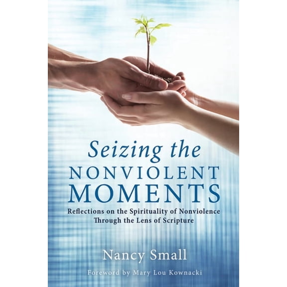 Seizing the Nonviolent Moments (Paperback)