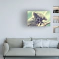 thumbnail image 2 of "Sleepy Head" Canvas Art by Beata Czyzowska Young, 2 of 4