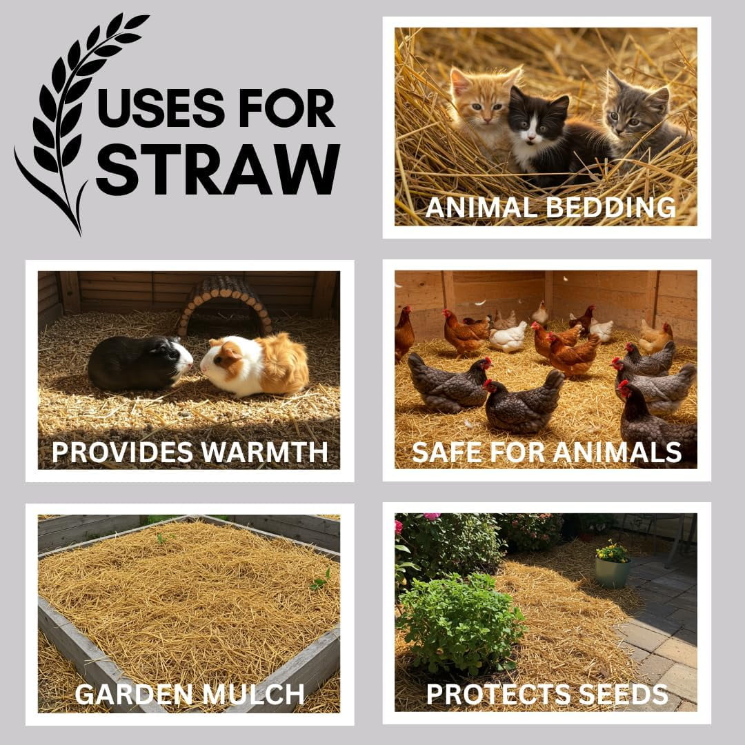 100% Natural Wheat Straw for Animal Bedding, Garden Mulch, Compost & Fertilizer, and Grass Cover (4 Pounds)