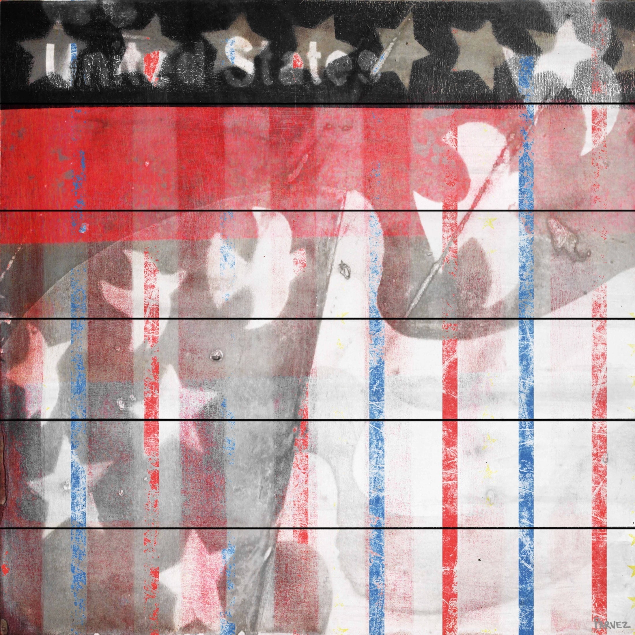 Parvez Taj  - "Patriotic Birds" Print on White Wood - Multi-Color 32 x 32