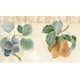 Papier Peint Précollé Bord - Fruits Vert, Beige, Brun, Rouge, Bleu Pomme, Poire, Prune, Cerise Mur Bord Rétro Design, 15 Pi x 7 Po (4,57 M x 17,78 Cm) – image 1 sur 5
