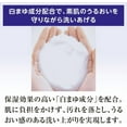 thumbnail image 3 of Shiseido FT Senka Perfect Bubble Body Soap, 3 of 5