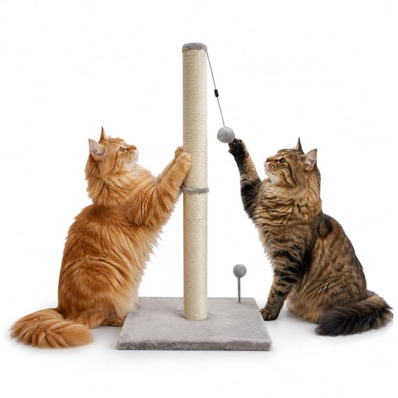 Poste Rascador Tubular Poli Pets con Juguete Colgante Desmontable