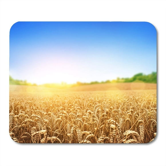 NUDECOR Yellow Barley Wheat Field Fresh Crop of Farm Harvest Mousepad Mouse Pad Mouse Mat 9x10 inch