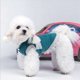 thumbnail image 2 of Otoño Invierno Algodón Azul Espesar Hermosa Suave Cómoda Ropa para Mascotas Abrigo Cálido Ropa para Perros Azul 4XL, 2 of 5