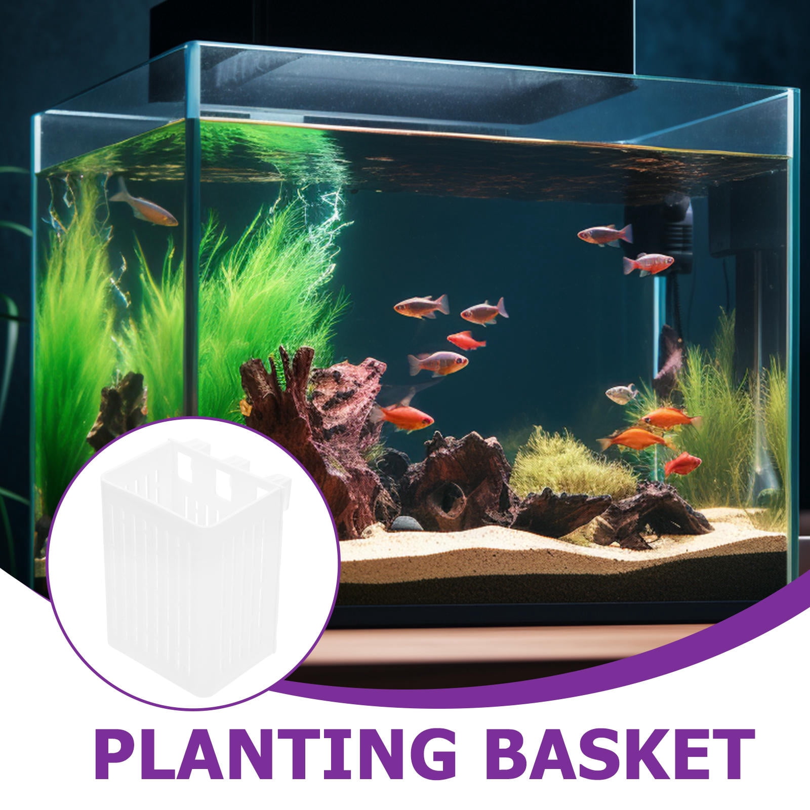 FOMIYES Aquarium Plant Holder 2Pcs White Hollow Design for Easy Observation and Aesthetics