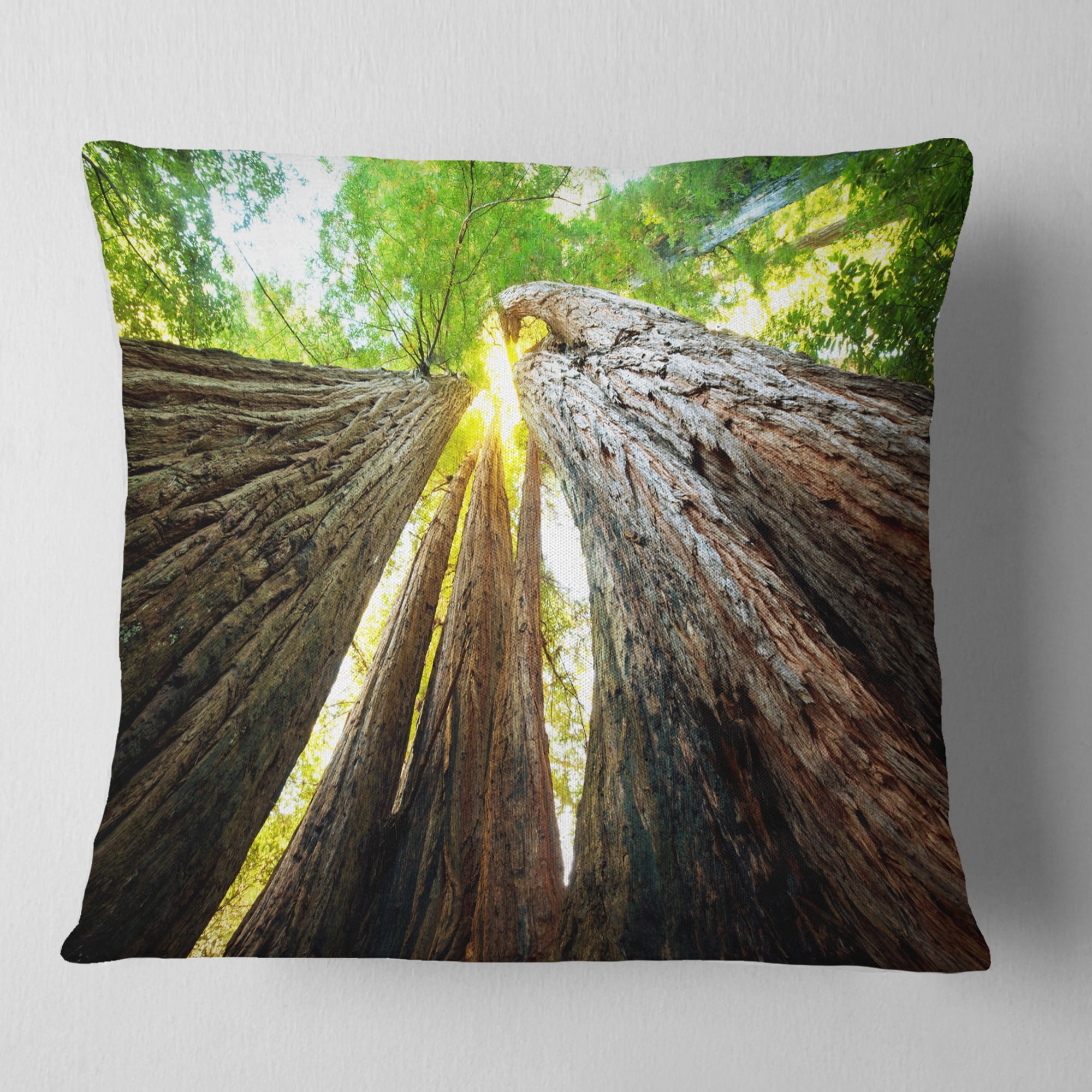 Designart Sequoia Tree - Photography Throw Pillow - 18x18