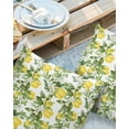 thumbnail image 3 of Outdoor Throw Pillow Cover Summer Lemon Fruit Flowers and Leaves Waterproof Cushion Covers 2 Pack Watercolor Garden Arts Pillow Cases Home Decoration for Patio Garden Couch Sofa, 3 of 7