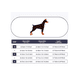 thumbnail image 4 of Pechera Arnés De Seguridad Para Perro Talla M Lab.G Azul, 4 of 5