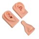 thumbnail image 1 of Piercing De Silicona, Modelo De Práctica De Perforación, Simulación Y Flexible, Modelo De Orejas De Nariz Para Enseñanza De Exhibición, 1 of 7