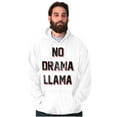 thumbnail image 5 of No Drama Llama Alpaca Chill Relaxed Hoodie Sweatshirt Women Men Brisco Brands M, 5 of 6