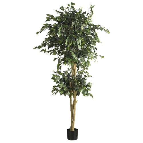 Nearly Natural Artificial 6’ Capensia Ficus Silk Tree With 1008 Leaves BRAND NEW 
