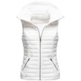 thumbnail image 4 of Veste Sans Manches en Coton pour Femmes Printemps et Automne Hiver, Manteau de Mode pour Femmes, Veste en Coton Sans Manches pour Femmes, Taille Européenne, Veste pour Femmes, 4 of 6