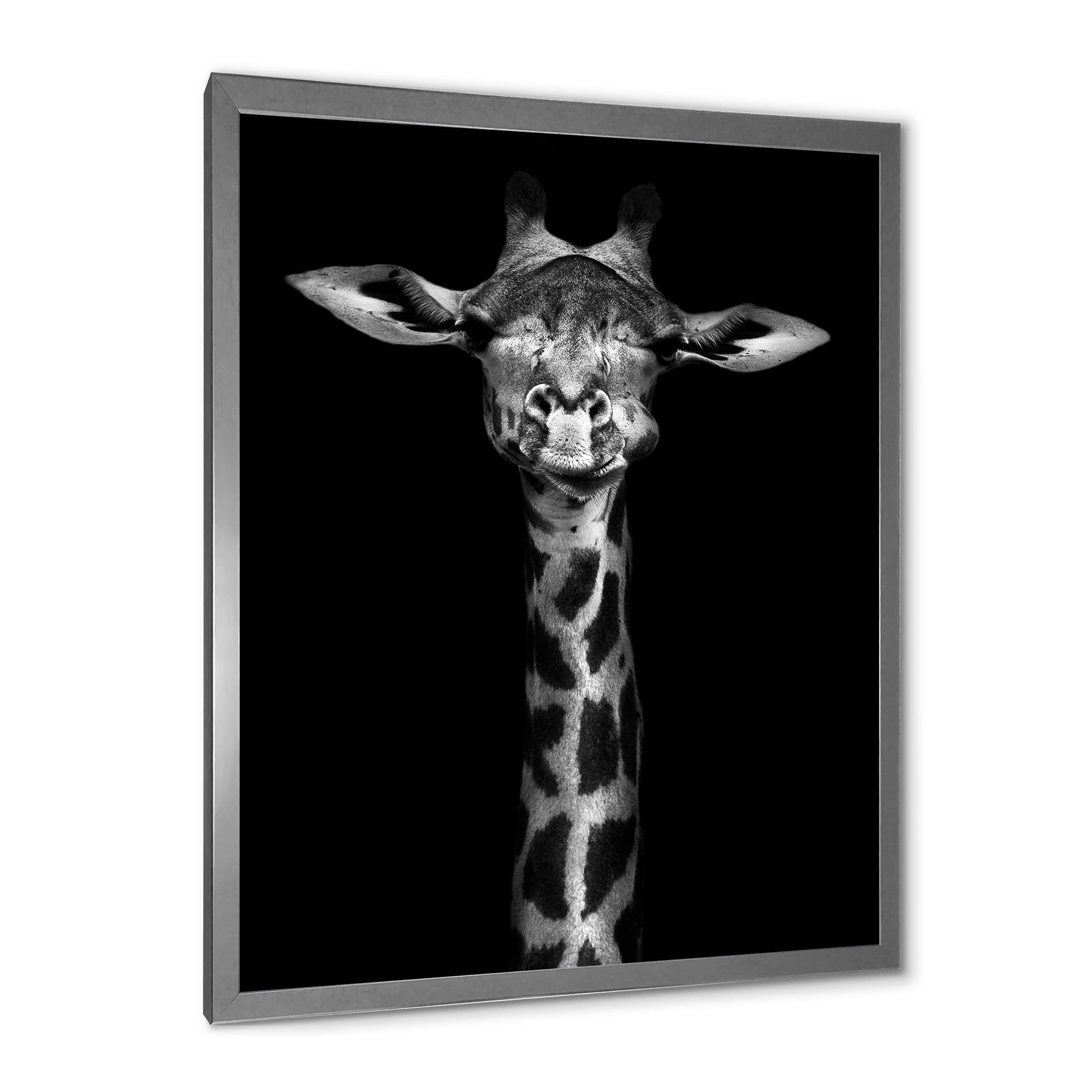 Designart 'Portrait Of A Giraffe In Monochrome' Farmhouse Framed Art Print