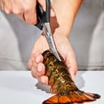 thumbnail image 1 of Ciseaux à Fruits de Mer en Acier Inoxydable par OXO, 1 of 3
