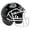 Black ,white V-ROPO-TRAD, variant on Schutt Vengeance A11 Youth Football Helmet w/Facemask (S, Metallic Silver, Black V-ROPO-TRAD-YF)
