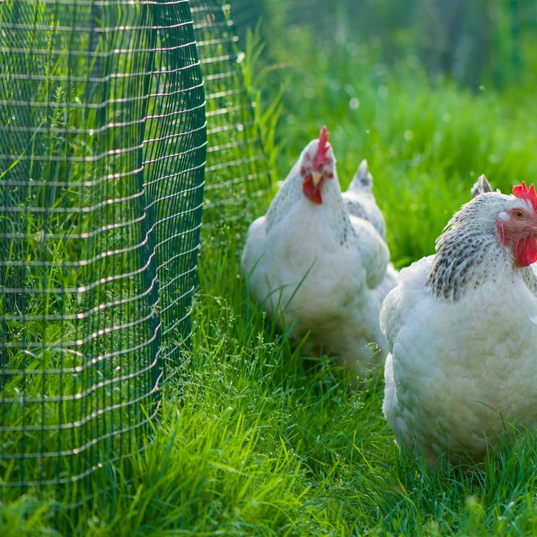 1 Roll Garden Fence Chicken Wire Plastic Mesh Screen Garden Netting Poultry  Net