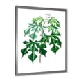 thumbnail image 2 of Designart 'Ancient Green Leaves Plants II' Traditional Framed Art Print, 2 of 4