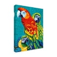 thumbnail image 2 of Trademark Fine Art 'Birds in Paradise III' Canvas Art by Carolee Vitaletti, 2 of 4