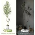 thumbnail image 2 of Qinaqin 7FT (1 Piece) Alto Artificial Oliva Tree con Blanco Planter y Verde Fake Moss para Hogar Oficina Living Sala Dormitorio Stairs Foyer de Profundidadcor, 2 of 5