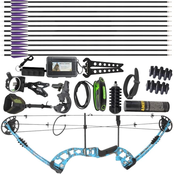 AMEYXGS Archery 30-55lbs Compound Bow 310fps Archery Let-off 70% Shoot Hunting Pulley Bow Arrow