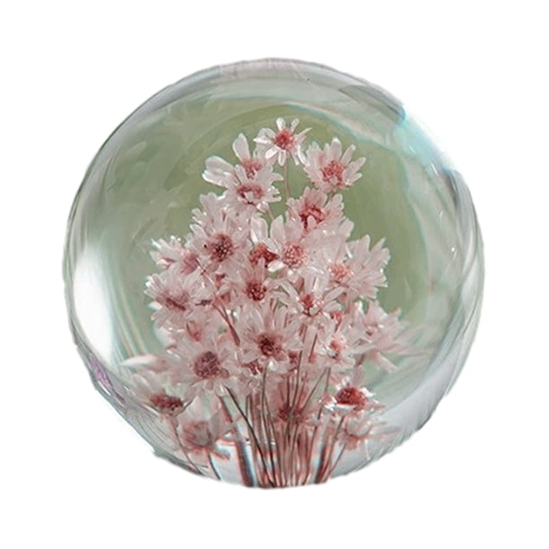 Bewildely Bola de ensueño exquisita de resina con flor, símbolo de belleza y paz, bola de ensueño decorativa, bola de cristal, Margarita roja, Type3 NO3