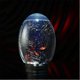thumbnail image 3 of 2026 19x8.2cm/7.48x3.23in Closed Aquatic Ecosystem Simple Transparent Design, 3 of 5