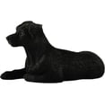 thumbnail image 4 of JFSM Inc. Figurine de Chien Labrador Noir 6 Pouces, 4 of 6