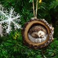 thumbnail image 4 of Clearance Under $2 Sleeping Hedgehog Christmas Ornament, 2D Acrylic Cute Animal Hanging Decor for Tree Wreath and Holiday Display, Style A, 4 of 5