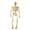 Beige, variant on QLUEWX Beige Halloween Skeleton Table Decor, 5.9" Poseable Simulated Human Body Small Skeleton Display, Tabletop Centerpiece Party Supplies Home Decor, Halloween Decor for Home Indoor Table