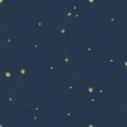 thumbnail image 4 of Gango Home Decor Contemporary Succulent Pattern Navy & Night Sky Navy & Gold Pattern; Two 12x12in Art Prints in White Frames, 4 of 6