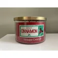 thumbnail image 2 of Yankee Candle Sweet Cinnamon 3-Wick Tumbler Candle with a Balsam Trees Jar Candle Holder 2pc Gift Set, 2 of 4