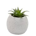 thumbnail image 4 of Maceta Prichos de Cemento con Planta Diámetro 96.7 cm Varios Modelos 1 Pieza Blanco, 4 of 4