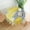 Grey Yellow Abstract Art, variant on Retro Swirl Round Table Cloth 60 Inch,Sunshine Tablecloth Waterproof Stain Wrinkle Resistant Circle Table Cover for Home Kitchen Dining Room Party Outdoor Picnic