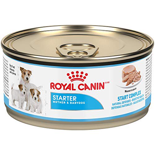 Royal Canin Starter Mousse Mother Baby Dog Chicken Flavored Wet Dog Food 5 8 Oz Case Of 24 Walmart Com Walmart Com