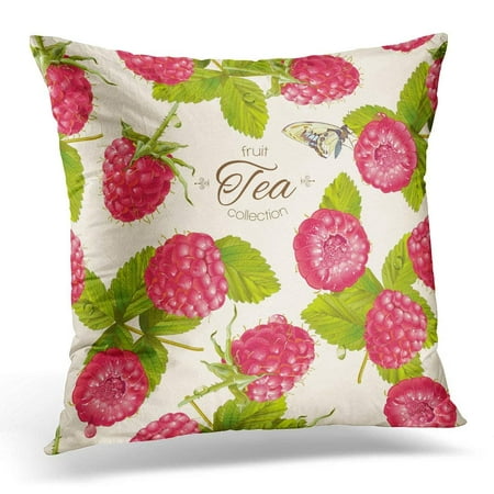 CMFUN Red Agriculture Raspberry Tea Design for Fruit Beverages Drink Homeopathy Best for Aroma Pillow Case Pillow Cover 20x20
