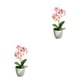 thumbnail image 2 of Plantas artificiales no tóxicas Bearachild 2Conjunto Rosa, 2 of 6