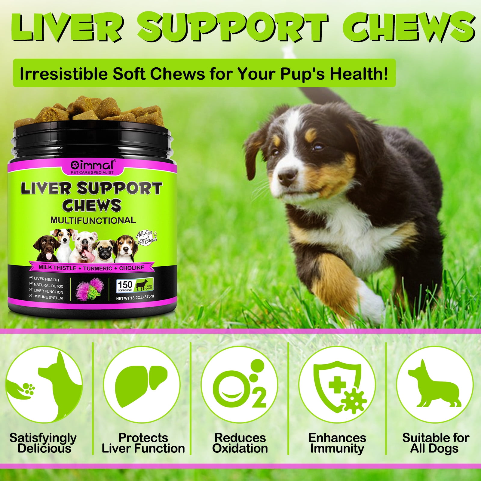 Oimmal Liver Supplement for Dog , 300 Chews - Liver Support for Dogs, with Milk Thistle Extract, Turmeric Curcumin, Choline for Dog Liver Function -Beef Flavor