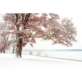 thumbnail image 2 of Eisenmann, Ulrike 14x11 White Modern Wood Framed Museum Art Print Titled - Winter is coming, 2 of 4