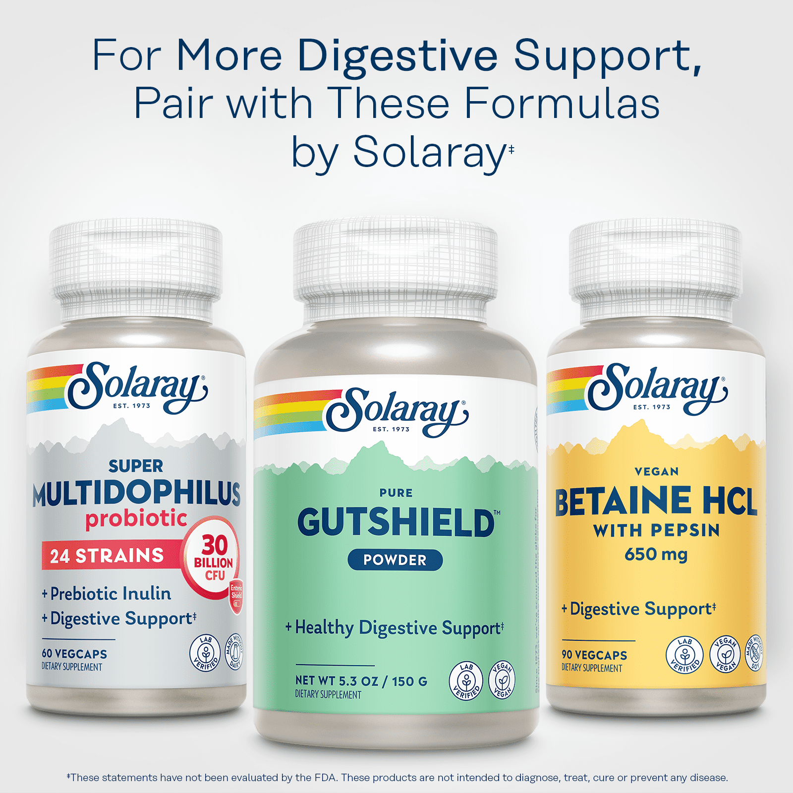 Solaray Pure GutShield Powder | Digestive Gut Health Support for Adults | L-Glutamine, Vitamin C, Zinc | 150g, 30 Serv.