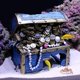 thumbnail image 2 of Kits de escenario CUTICAT Estuche grande para joyas Adornos para escondites de camarones Acuario Acuático Hideaway, 2 of 8