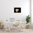 thumbnail image 2 of Stupell Industries Solemn Cattle Portrait Modern Farm Animal over Black Animals & Insects Photography Black Framed Art Print Wall Art, 16 x 20, 2 of 7