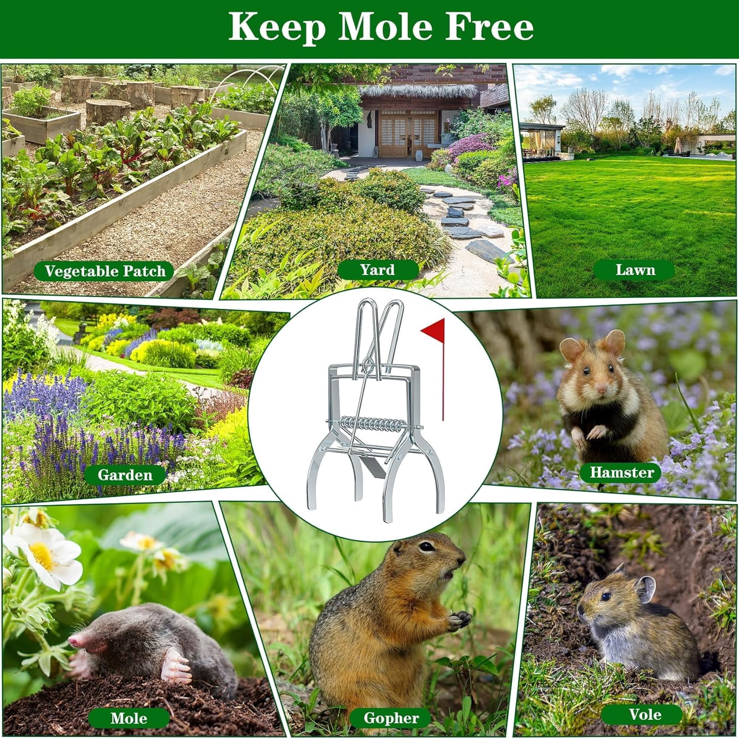 2 Pack Mole Traps That Kill Best, Mole Trap Easy to Set, Galvanized Steel Gopher Traps for Lawns, Reusable Quick Capture Gopher Hawk Vole Trap Outdoor Use