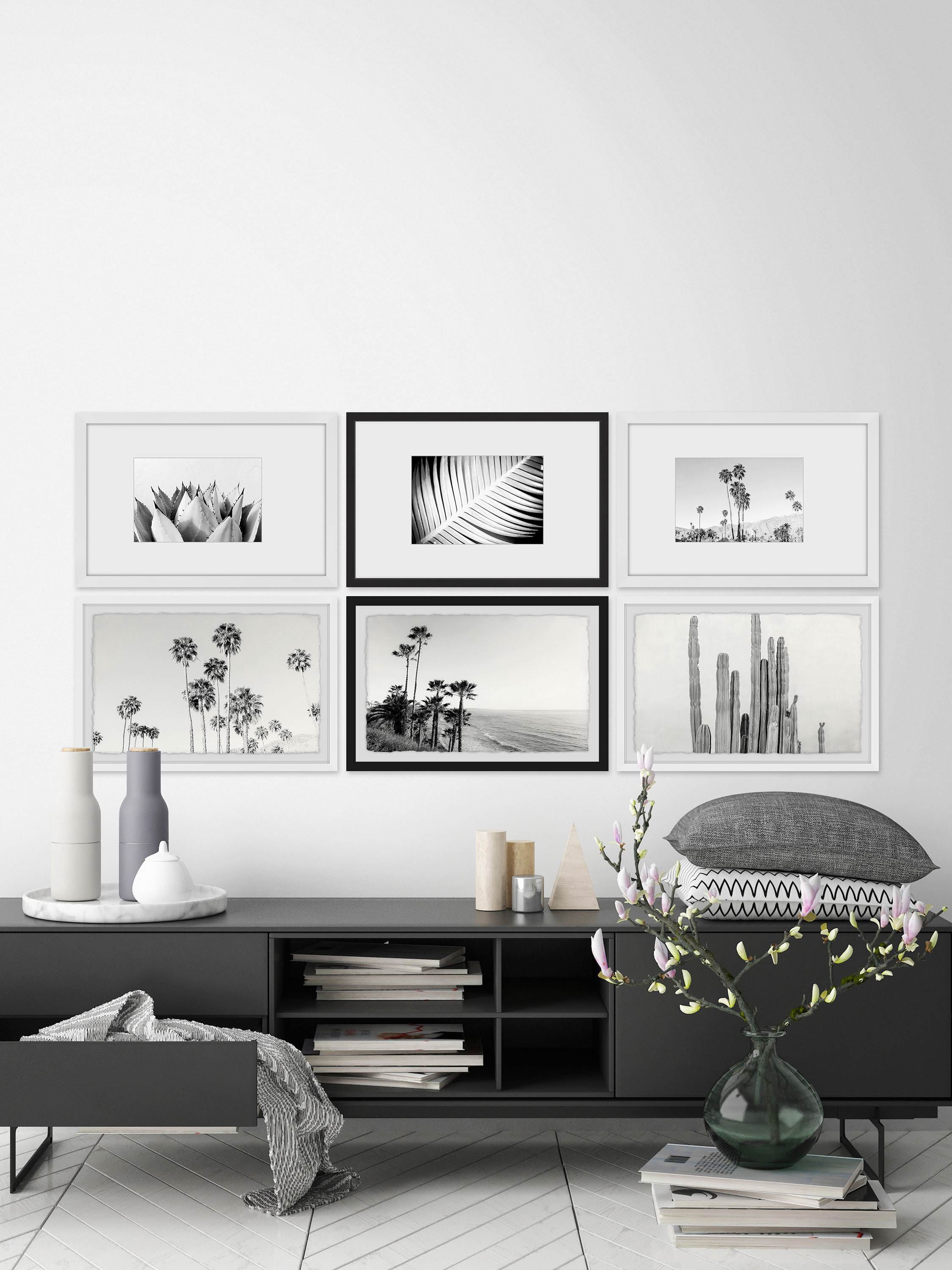 Black and White Summer Hexaptych