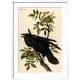 thumbnail image 2 of Art.com Raven Art Print by John James Audubon, White Frame Wall Art, 21" x 29", 2 of 5